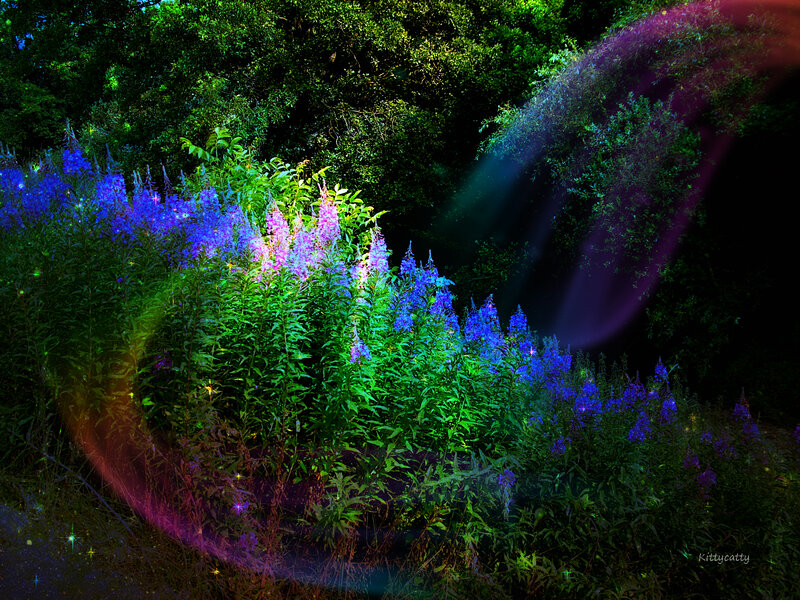 Purple Flowers in Forest — Blue, Magical