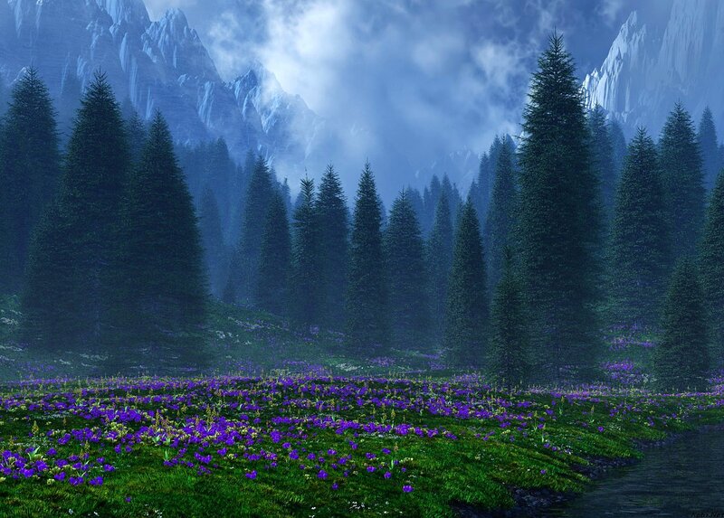 Purple Flowers in Forest — Green, Serene, Night
