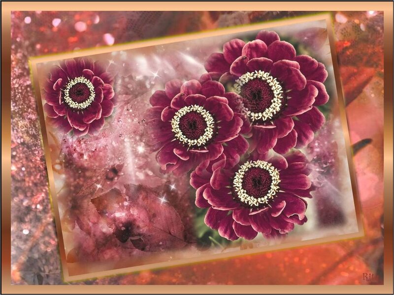 Purple Flowers in Frame — Dreamy