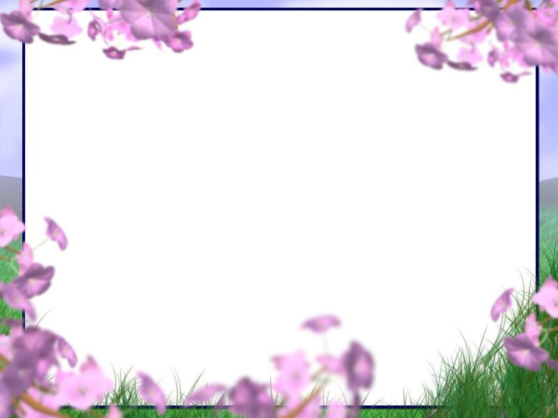 Purple Flowers in Frame
