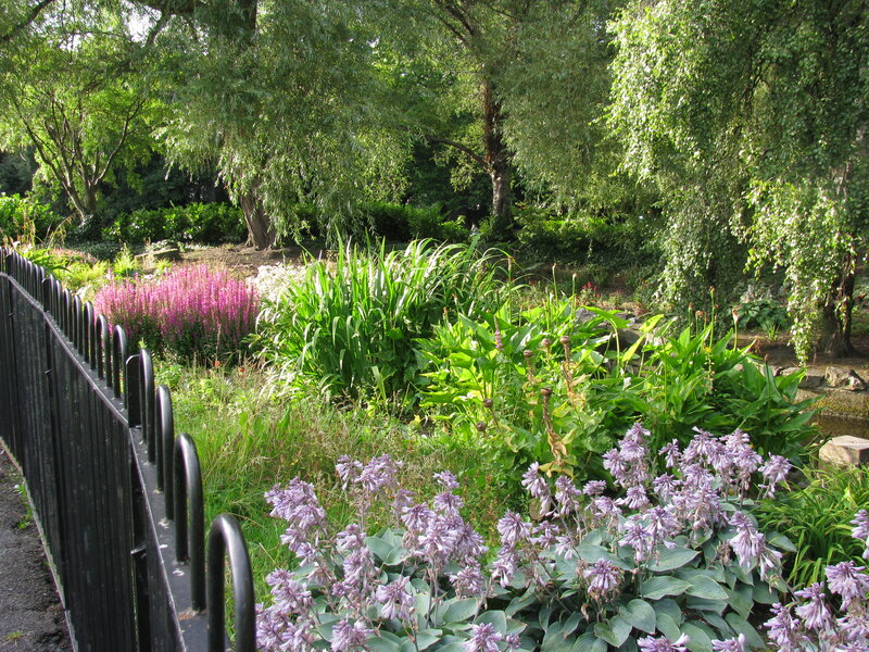 Purple Flowers in Garden — Green, Serene, Afternoon