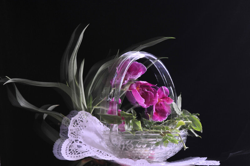 Purple Flowers in Glass Bowl — Dramatic