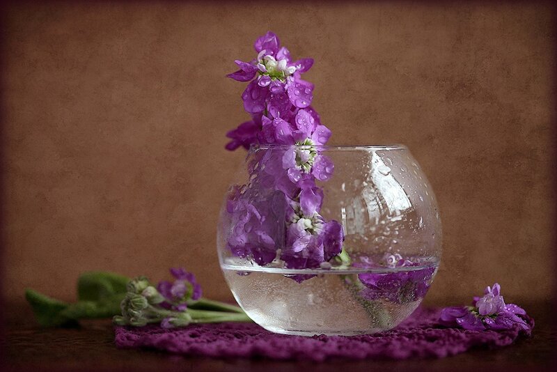 Purple Flowers in Glass Bowl