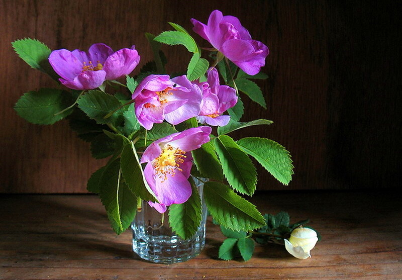 Purple Flowers in Glass — Calm