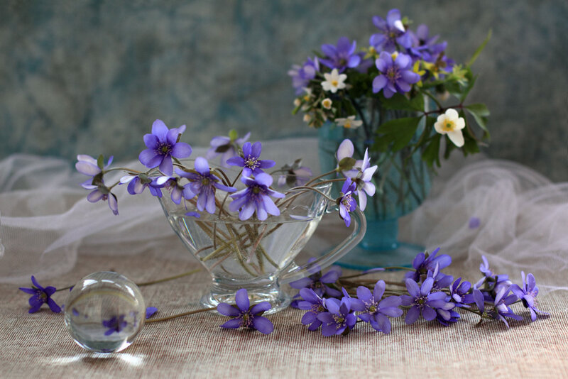 Purple Flowers in Glass Cups