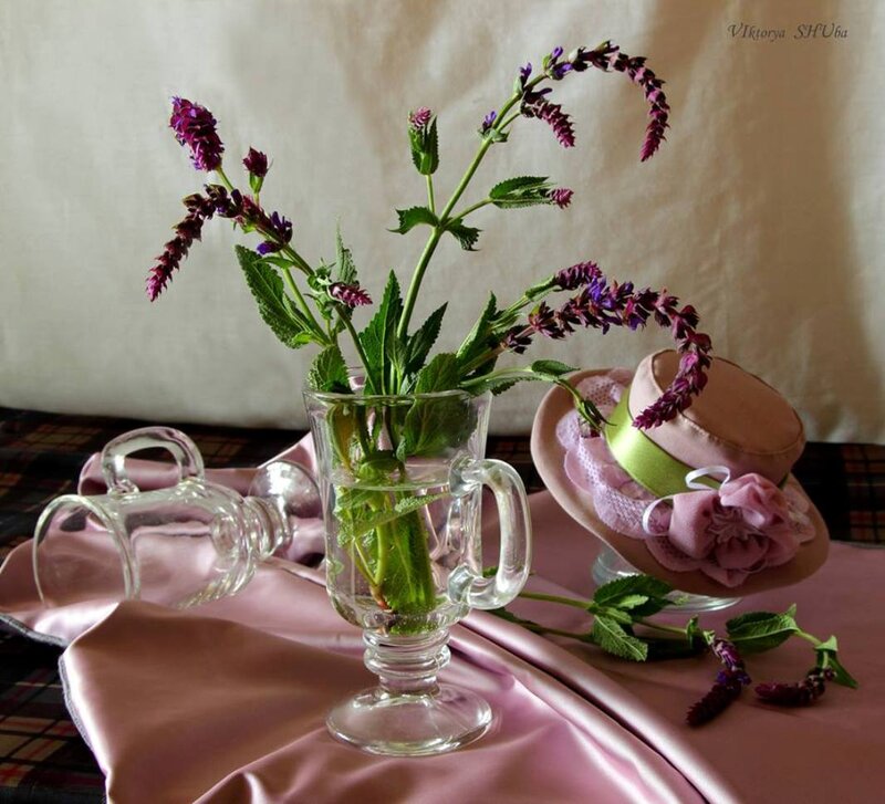 Purple Flowers in Glass — Pink