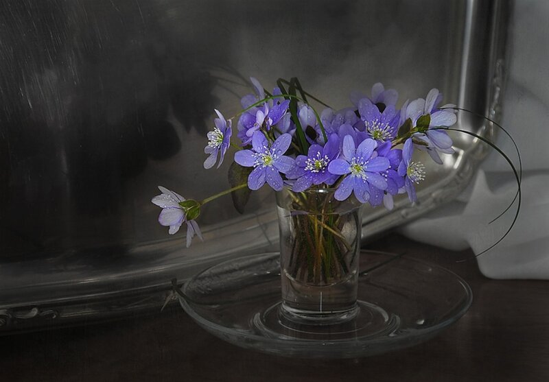 Purple Flowers in Glass — Serene, Photograph