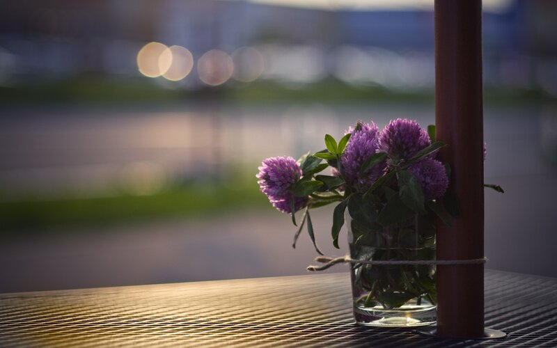 Purple Flowers in Glass — Serene, Sunset
