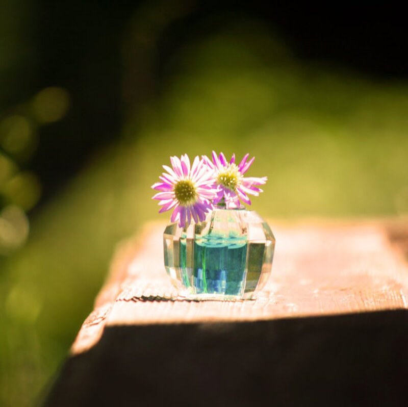 Purple Flowers in Glass Vase — Green