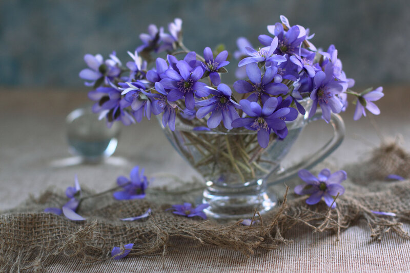 Purple Flowers in Glass Vase