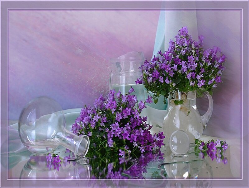 Purple Flowers in Glass Vases — Serene