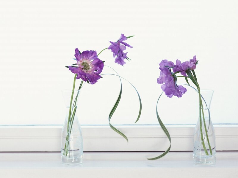 Purple flowers in glass vases