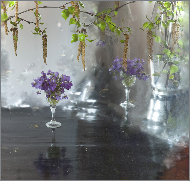 Purple Flowers in Glasses