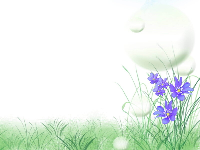 Purple Flowers in Grass — Green, Serene, Spring