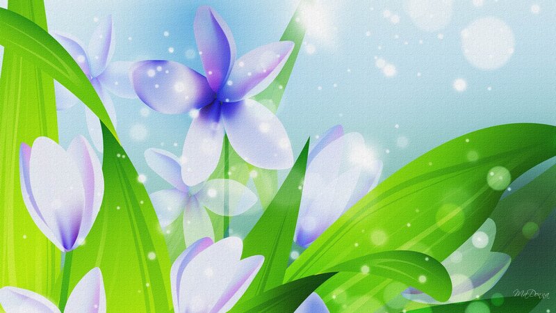 Purple Flowers in Grass — Green