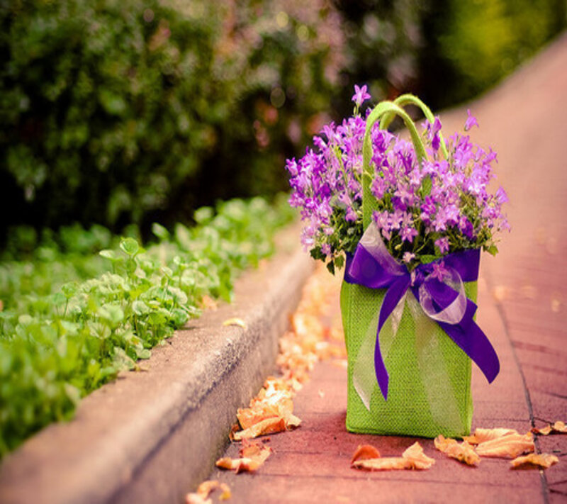 Purple Flowers in Green Bag