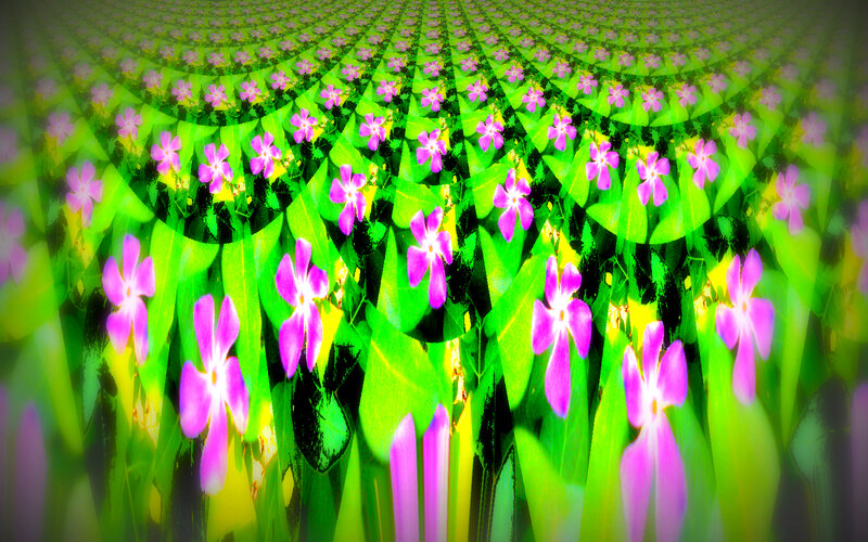 Purple Flowers in Green Field — Vibrant