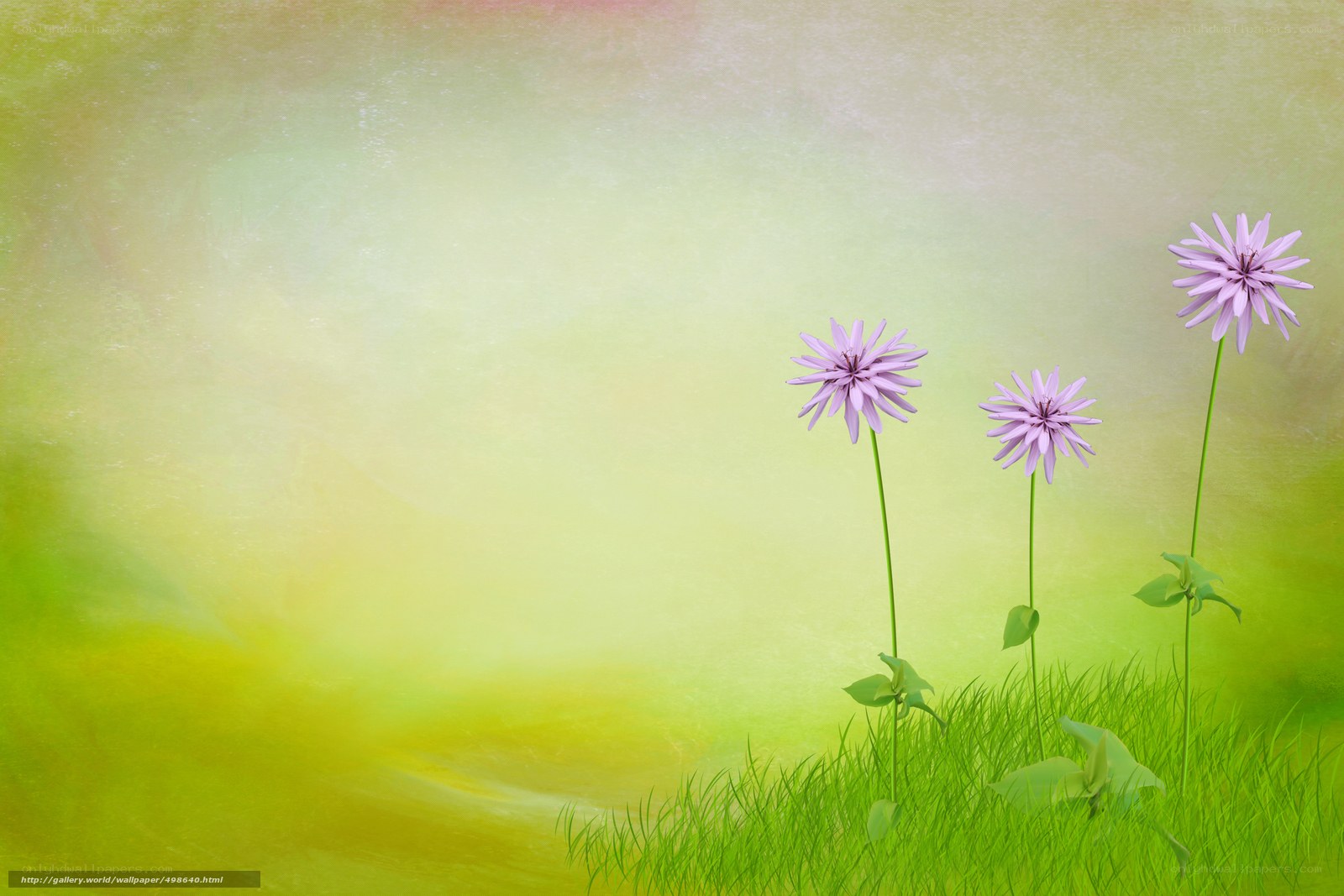 Purple flowers in green field