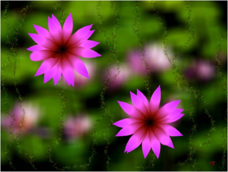 Purple Flowers in Green