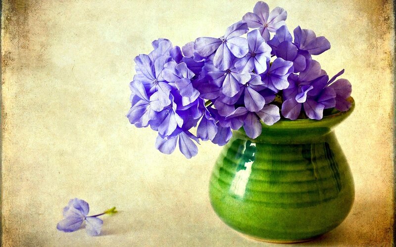Purple Flowers in Green Vase — Serene