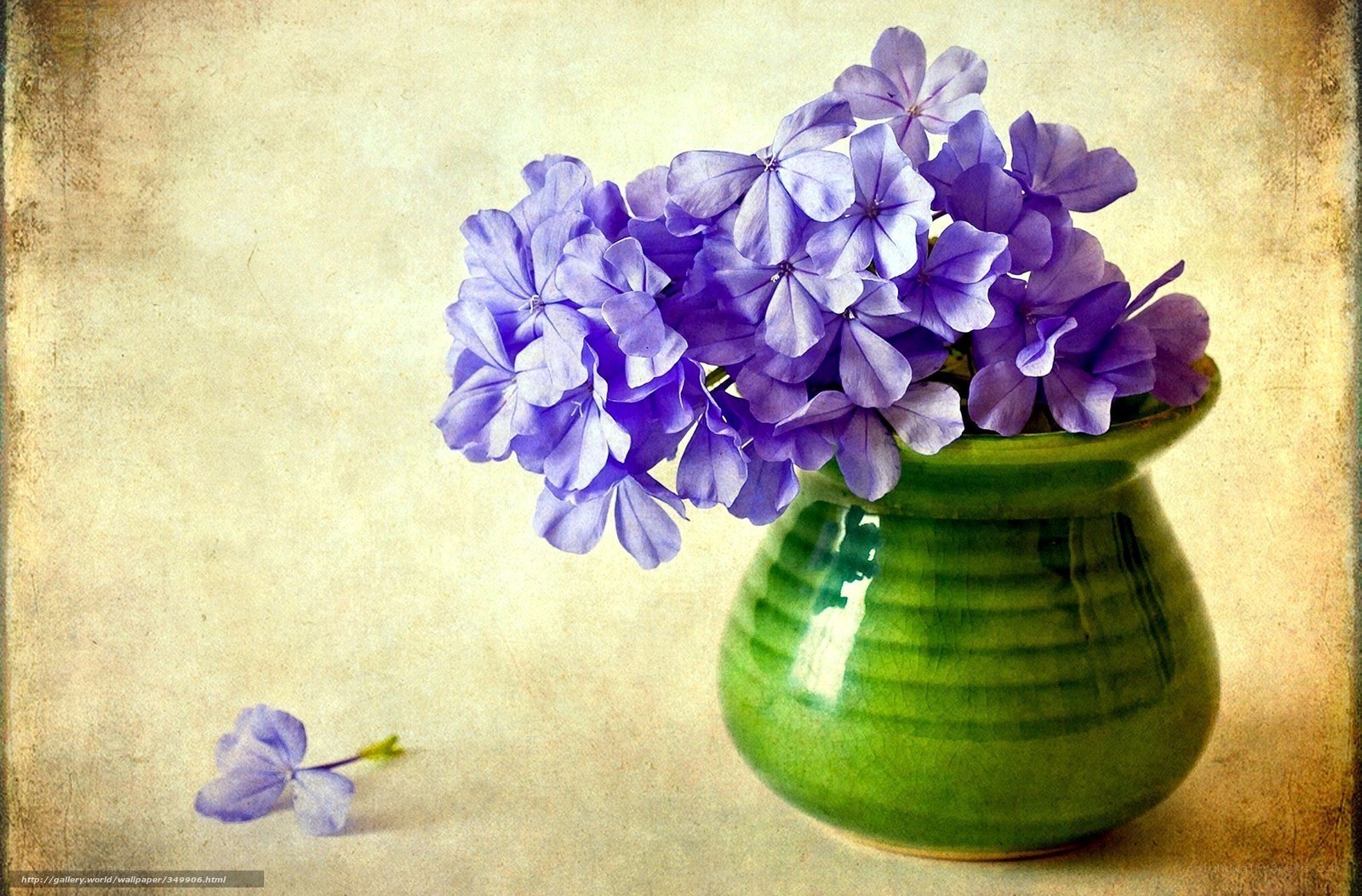 Purple flowers in green vase