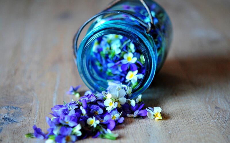 Purple Flowers in Jar — Blue, Serene
