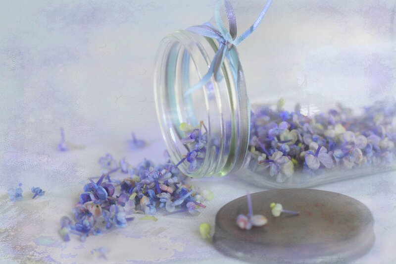 Purple Flowers in Jar — Serene, Photograph