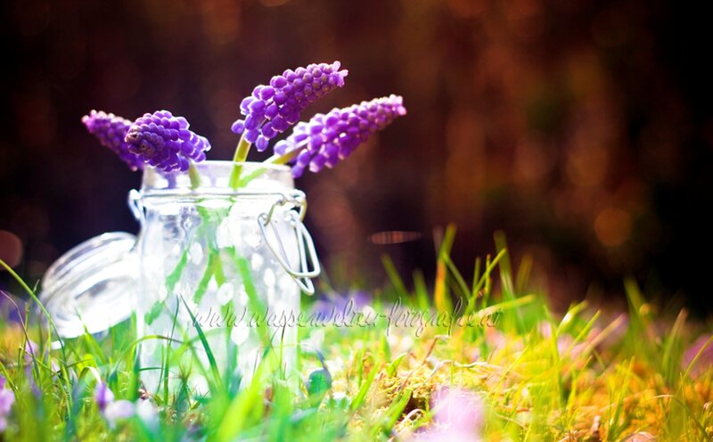 Purple Flowers in Jar — Serene, Spring