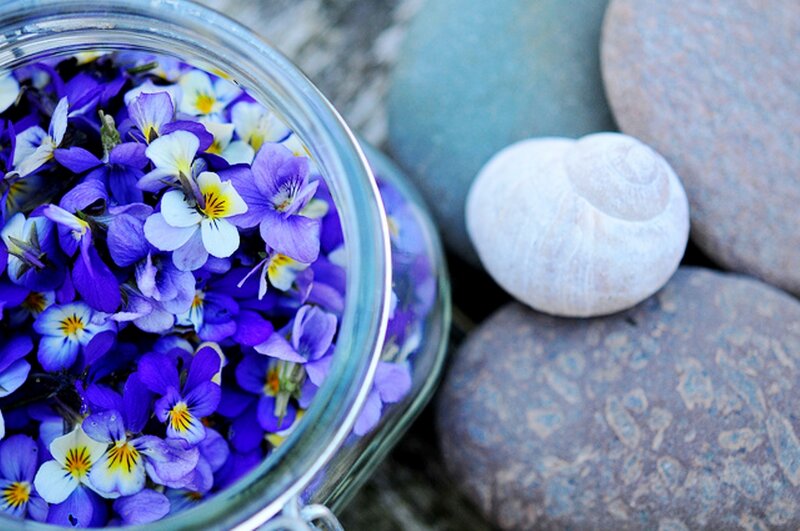 Purple Flowers in Jar — Serene