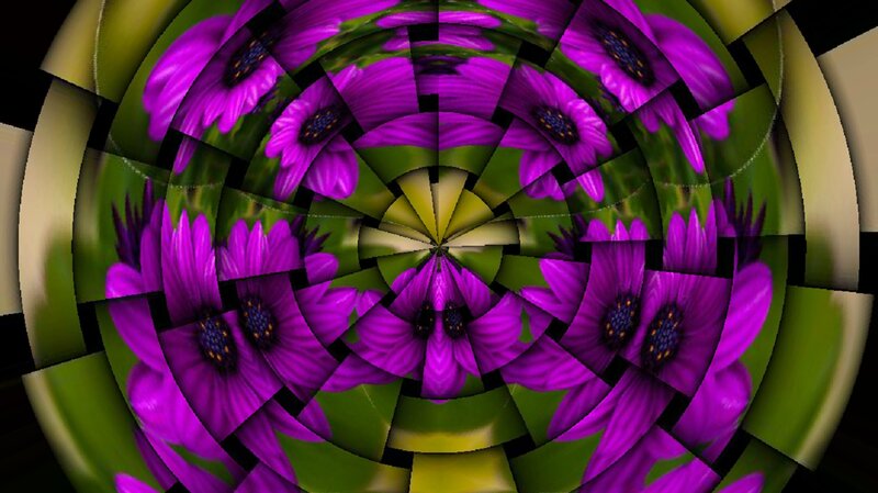 Purple Flowers in Kaleidoscope