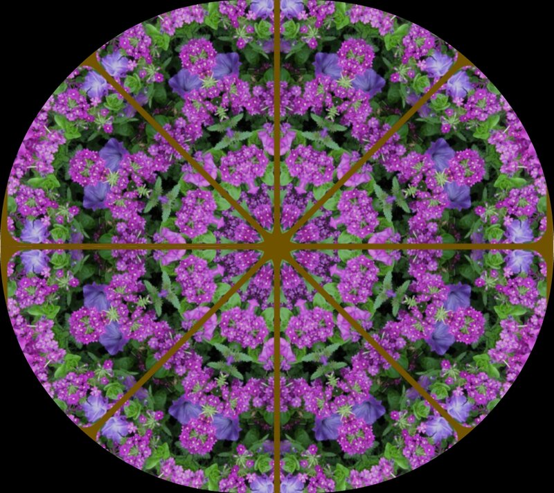 Purple Flowers in Mandala
