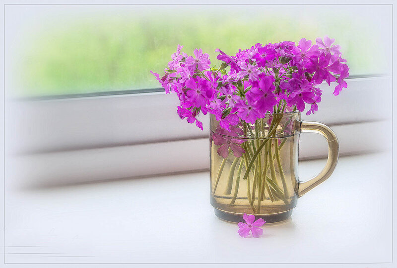 Purple Flowers in Mug