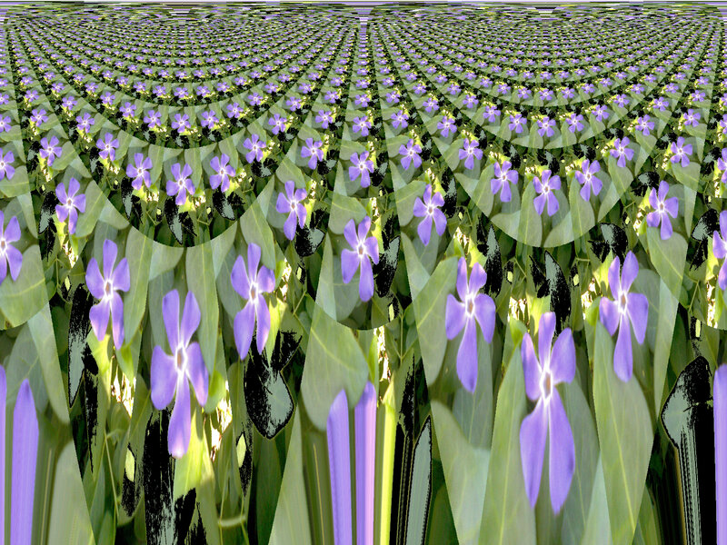 Purple Flowers in Pattern