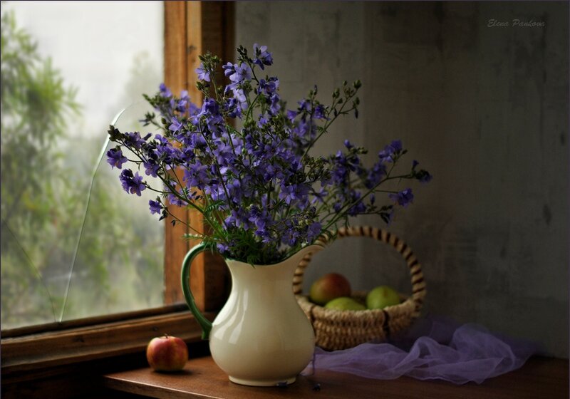 Purple Flowers in Pitcher — Serene, Morning