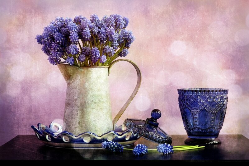 Purple Flowers in Pitcher — Serene
