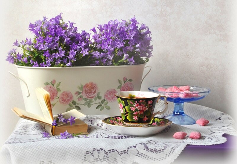 Purple Flowers in Planter — Serene