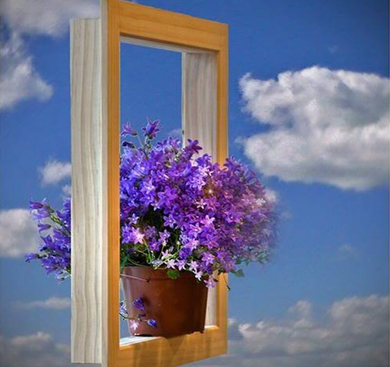 Purple Flowers in Pot — Blue