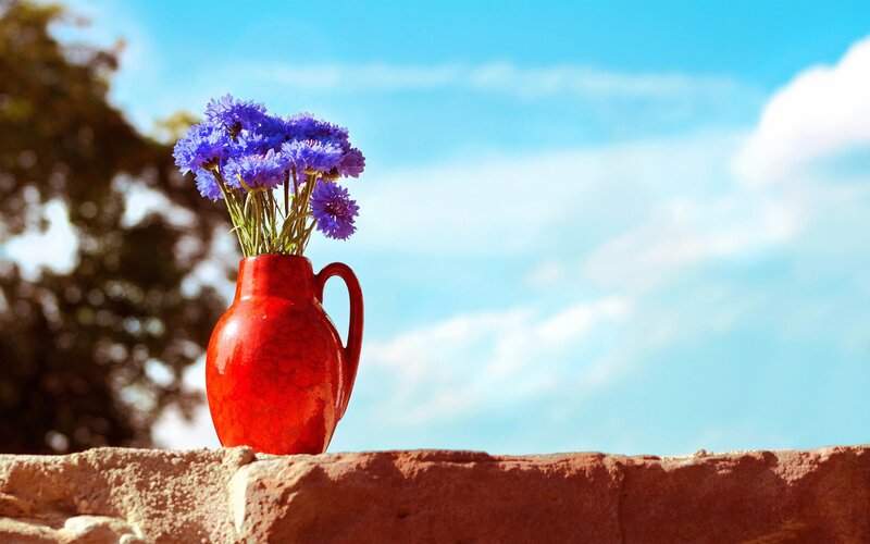 Purple Flowers in Red Vase