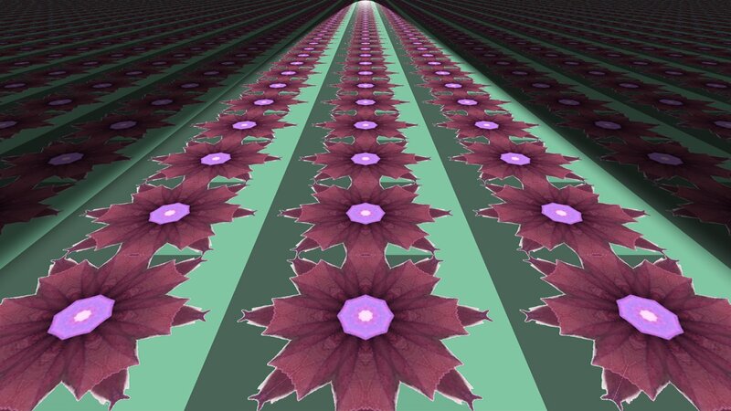 Purple Flowers in Rows