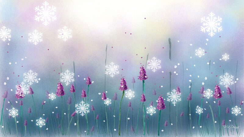 Purple Flowers in Snow — Serene