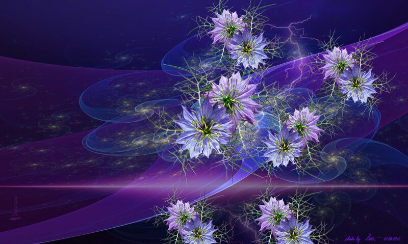 Purple Flowers in Space