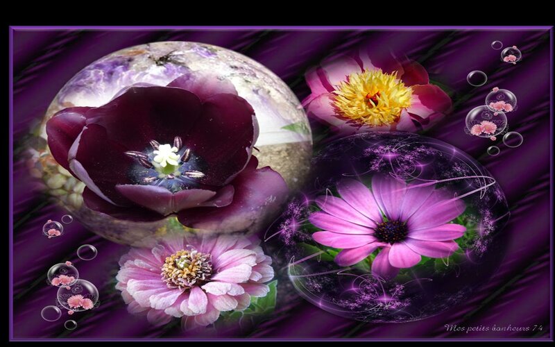 Purple Flowers in Spheres
