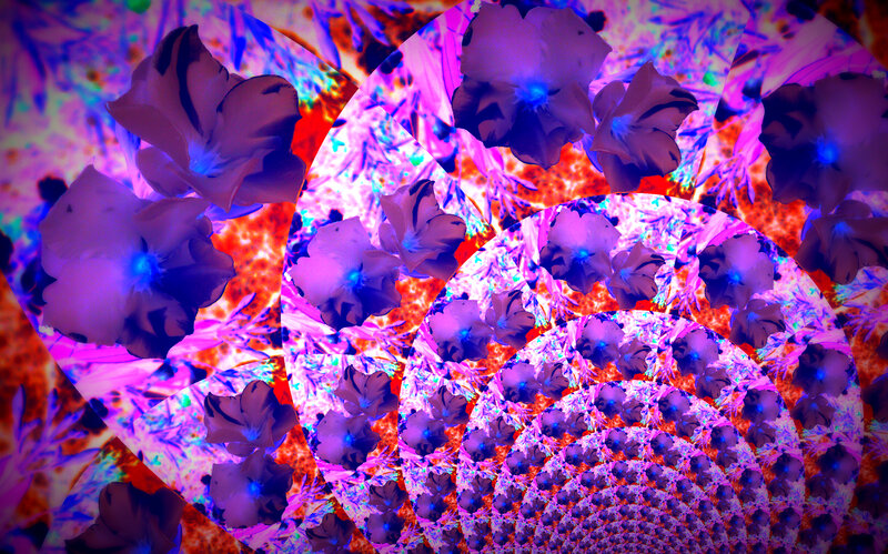 Purple Flowers in Spiral — Hypnotic, Digital Art