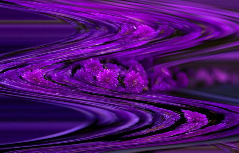 Purple Flowers in Swirls
