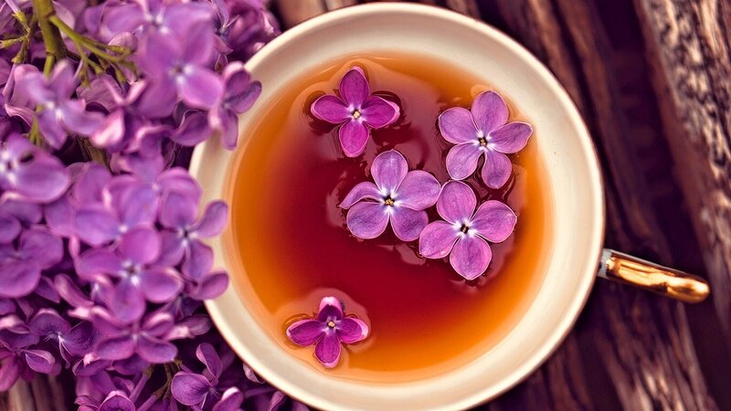 Purple Flowers in Tea
