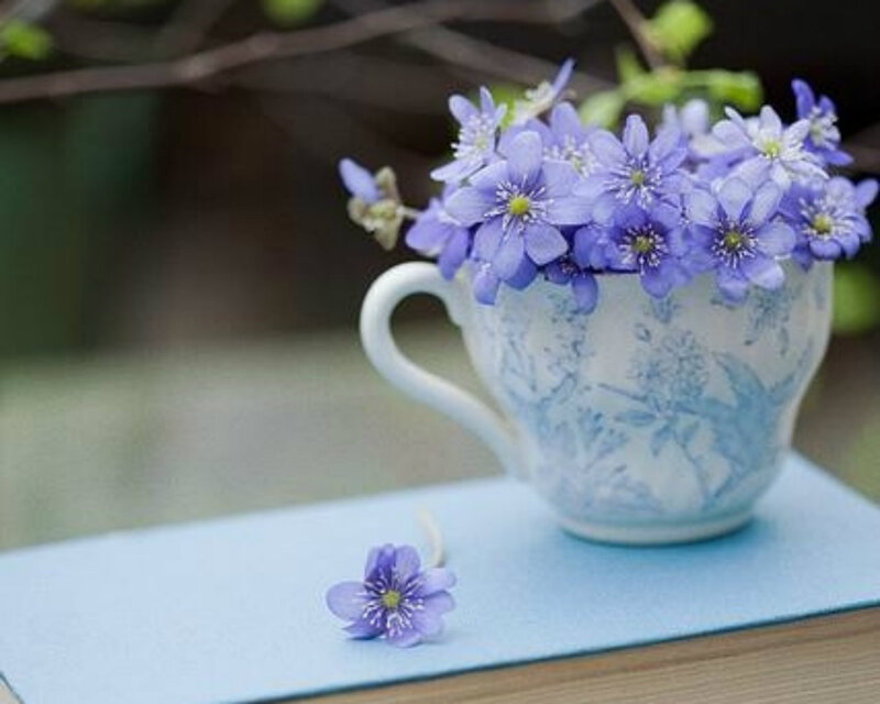 Purple Flowers in Teacup — Blue, Serene