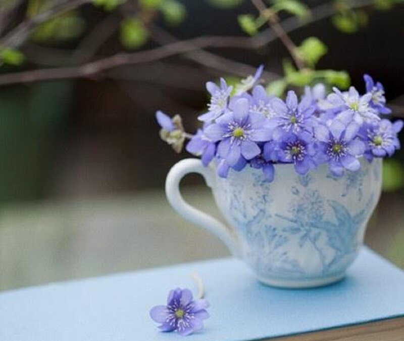 Purple Flowers in Teacup — Blue
