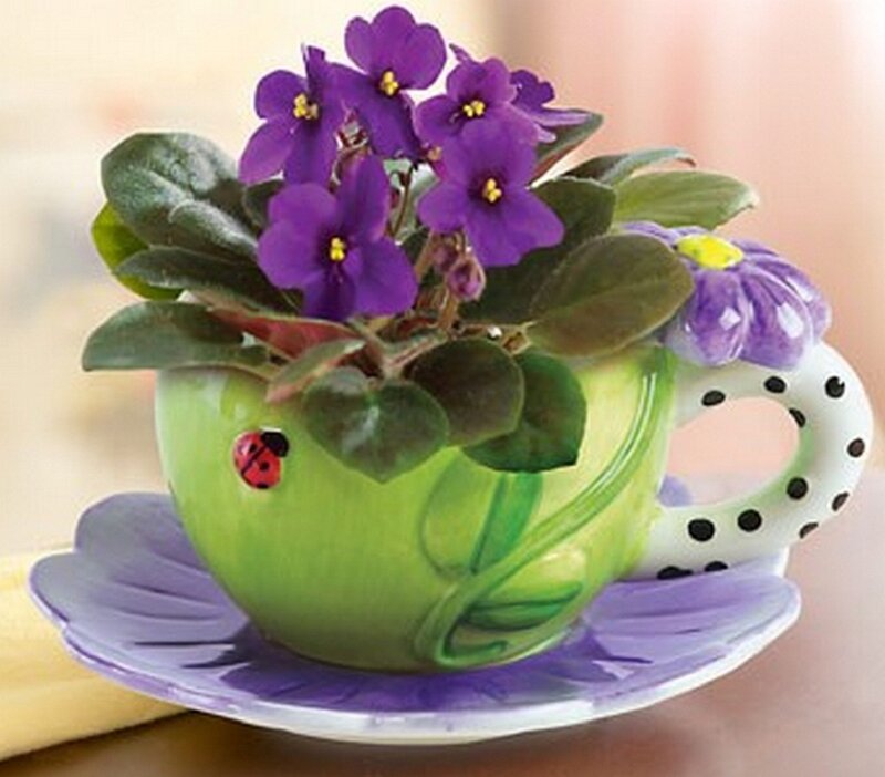 Purple Flowers in Teacup — Green, Calm, Photograph