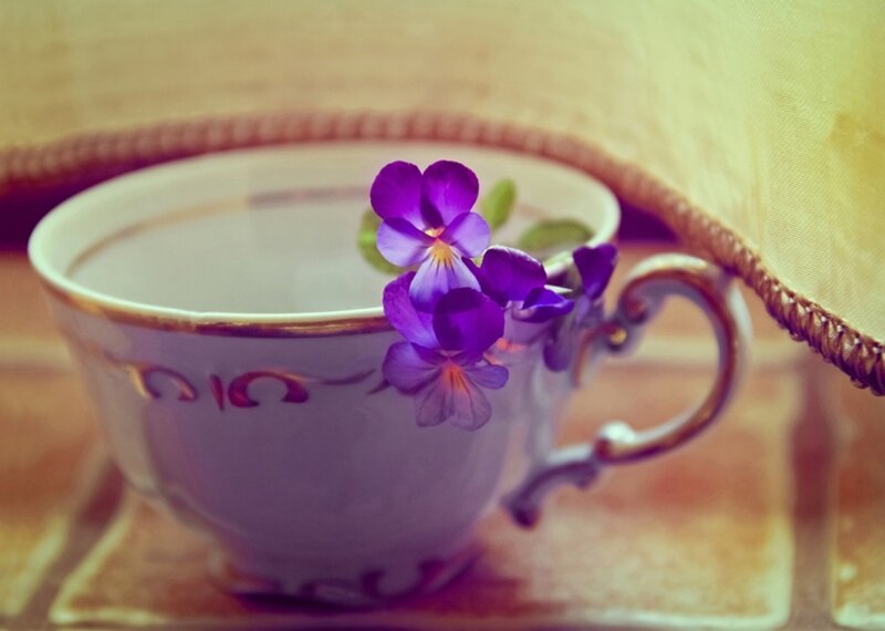 Purple Flowers in Teacup — Serene, Photograph, Flower