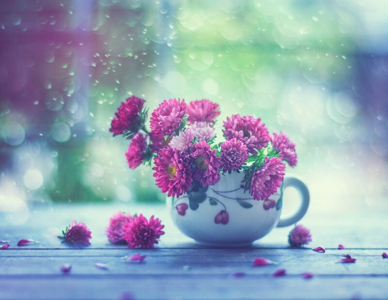 Purple Flowers in Teacup — Serene, Spring